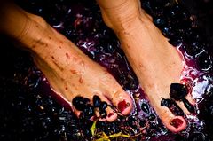 давят виноград ногами