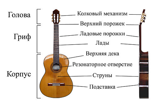 схема гитары